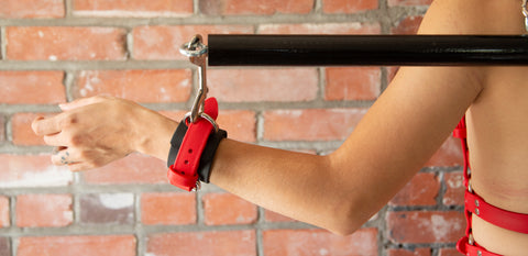 Biothane Restraints | Marty Flint