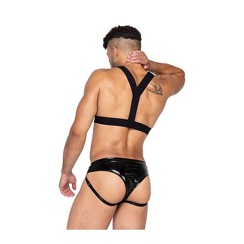 Voyeur Harness
