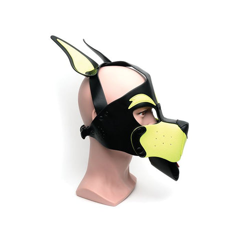 665 Playful Pup Hood - Yellow