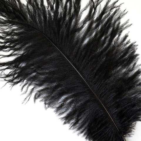 Ostrich Feather