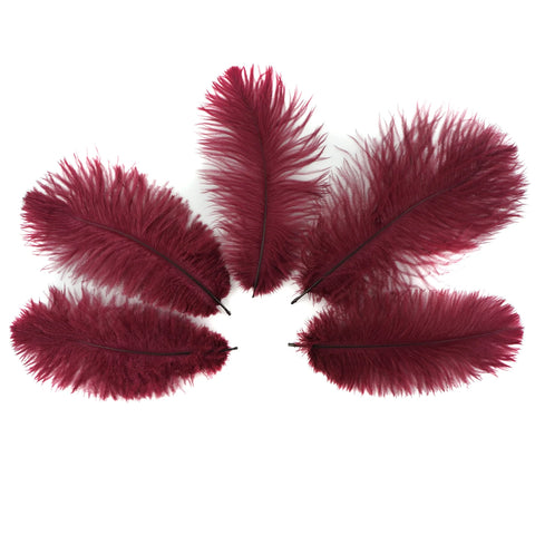 Ostrich Feather