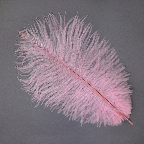 Ostrich Feather