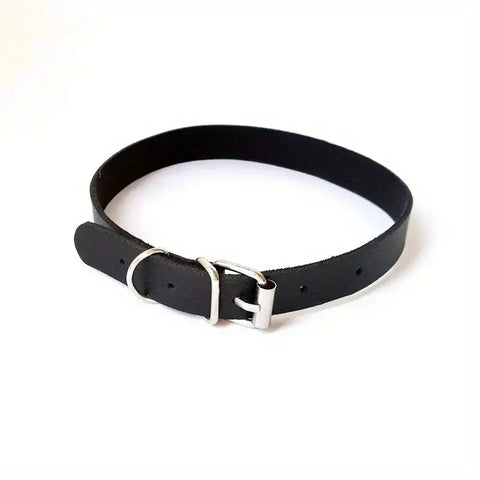 Fetish Pet Collar Tags, I Bite Heart