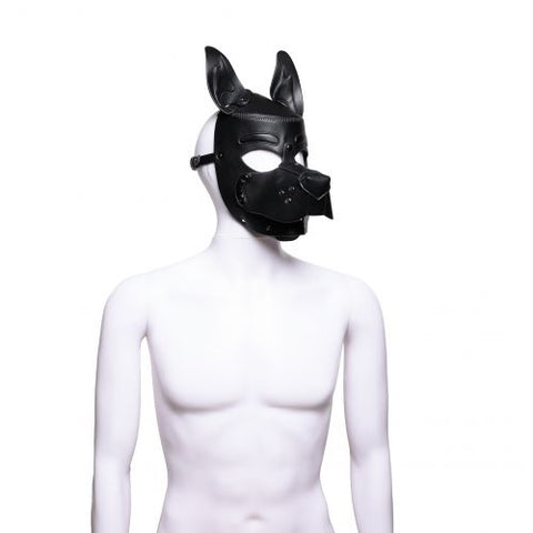Pup 2.0 Hood - Black | 665 Leather