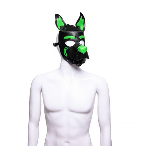 Pup 2.0 Hood - Green | 665 Leather