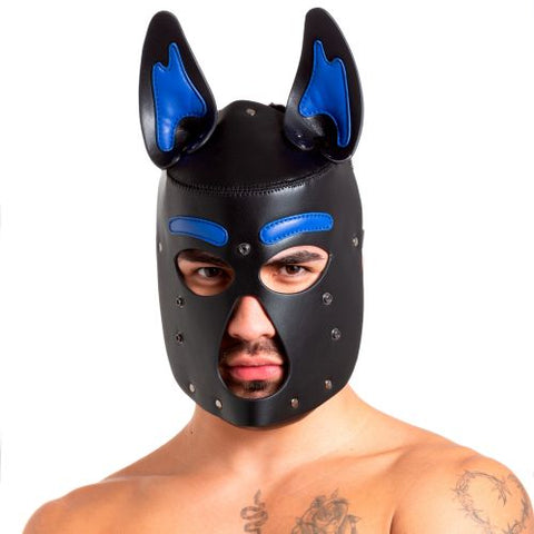Pup 2.0 Hood - Blue | 665 Leather