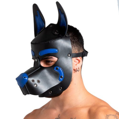 Pup 2.0 Hood - Blue | 665 Leather