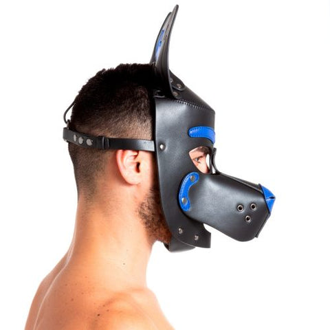 Pup 2.0 Hood - Blue | 665 Leather