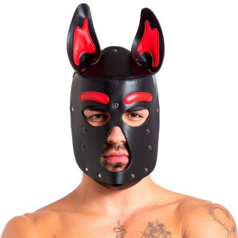 Pup 2.0 Hood - Red | 665 Leather