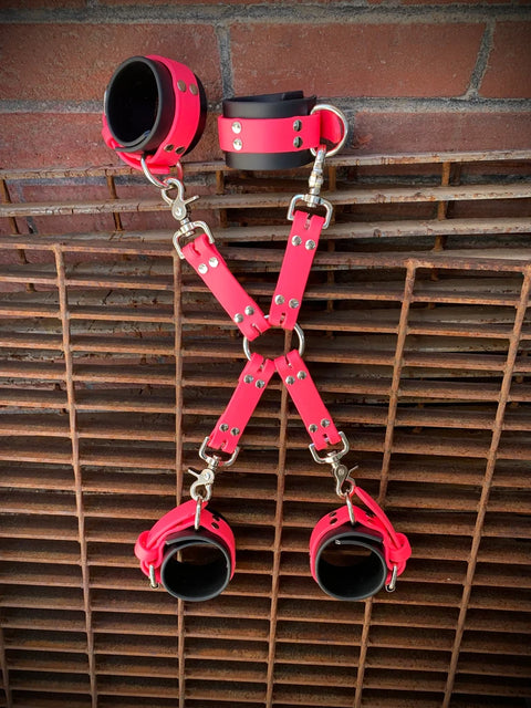 Biothane Restraints | Marty Flint
