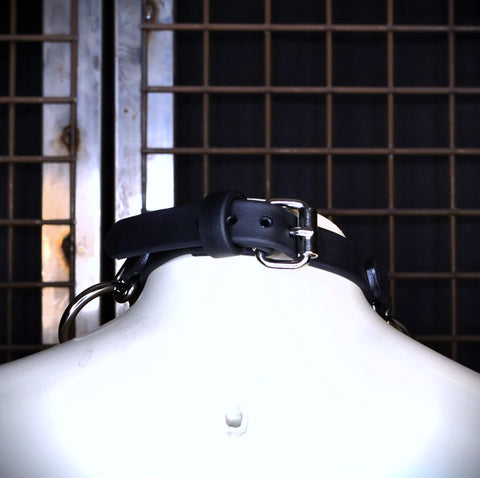Biothane Three Ring Choker | Marty Flint