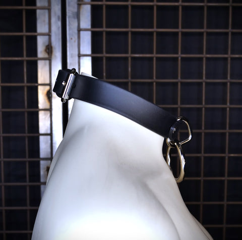 1" Wide Biothane O-ring Collar | Marty Flint
