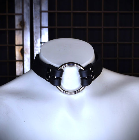 Biothane In-line Collar | Marty Flint