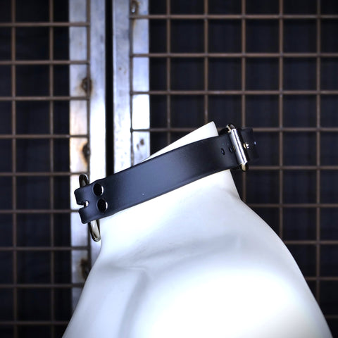 Biothane In-line Collar | Marty Flint