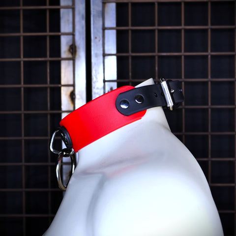 Biothane O-Ring Bondage Collar  | Marty Flint