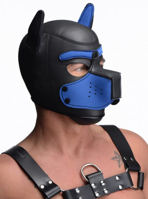 Neoprene Pup Hood | Blue